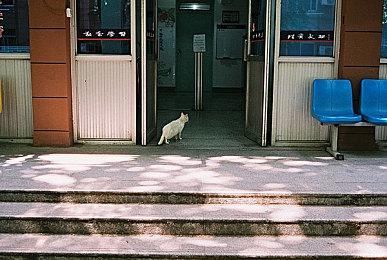 爽快2D像素动作游戏《重力回路》明年全平台发售